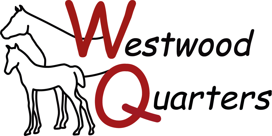 Westwood-Quarters / Westwood Mini American Shepherds