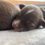 WhatsApp Image 2026-02-17 at 07.44.38(4)