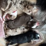 WhatsApp Image 2026-02-17 at 07.44.38(5)