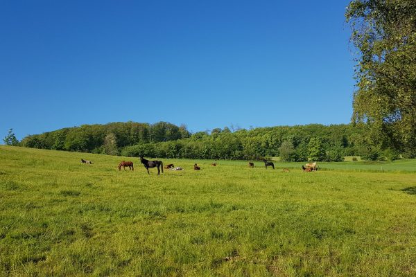 20210530_081843_reduziert