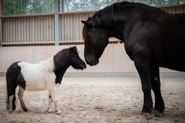 20220925_200931_klein