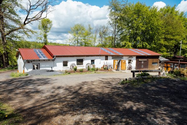 FXT41908 - Kopie_reduziert