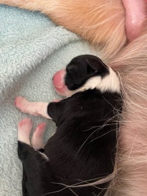 WhatsApp Image 2021-09-17 at 11.10.48