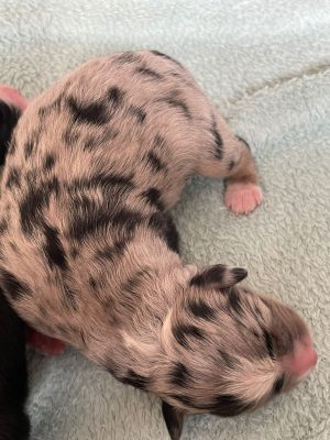 WhatsApp Image 2021-09-17 at 11.29.43