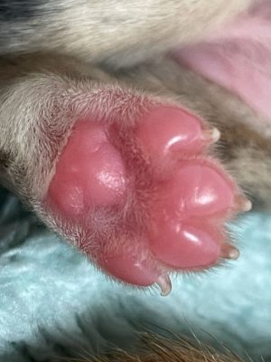 WhatsApp Image 2021-09-17 at 11.30.13