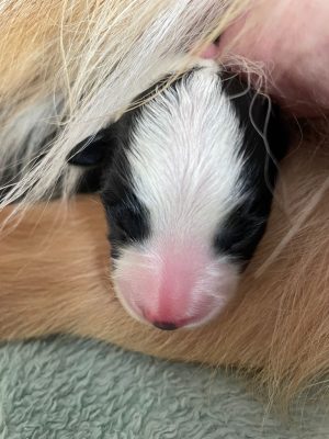 WhatsApp Image 2021-09-17 at 11.55.28