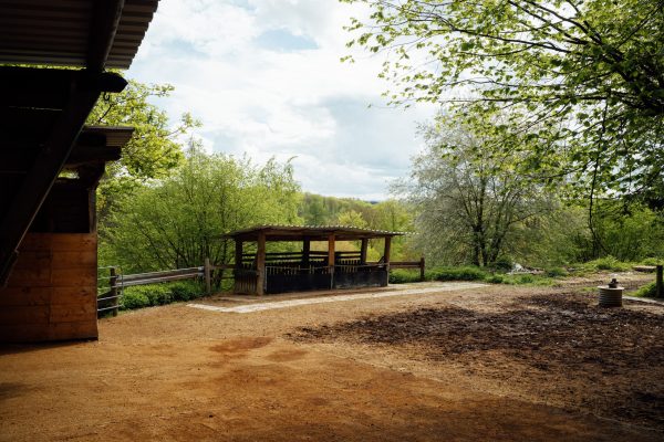 Offenlaufstall - Außenraufe